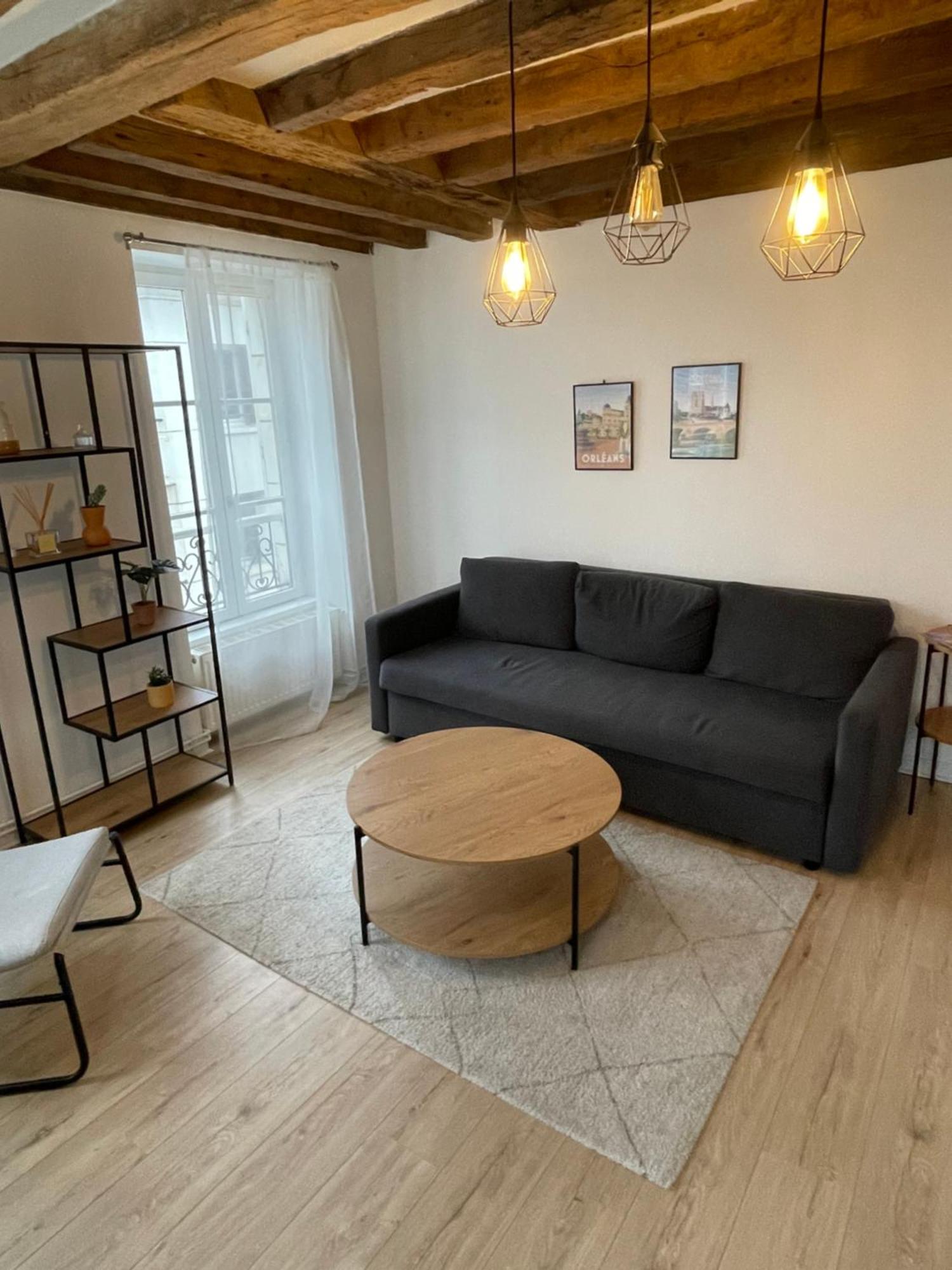 Charmant Appartement Orleans ! Exteriér fotografie
